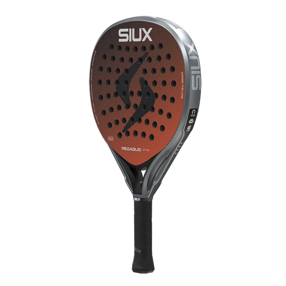 Siux Pegasus Elite 4