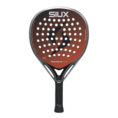 Siux Pegasus Elite 4