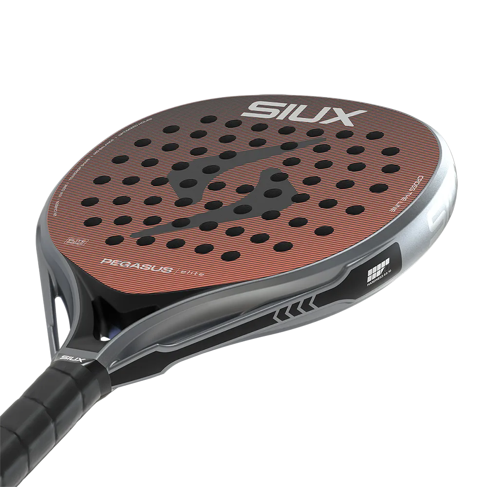 Siux Pegasus Elite 4