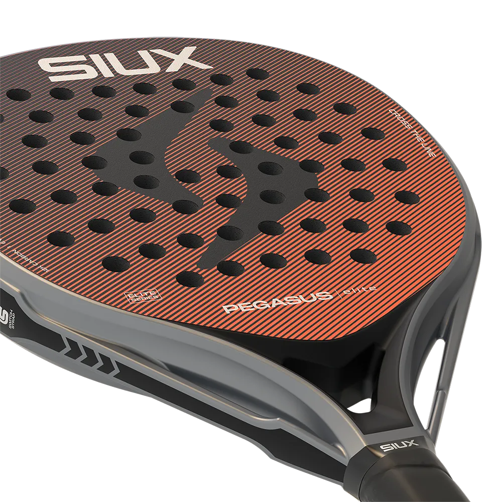 Siux Pegasus Elite 4