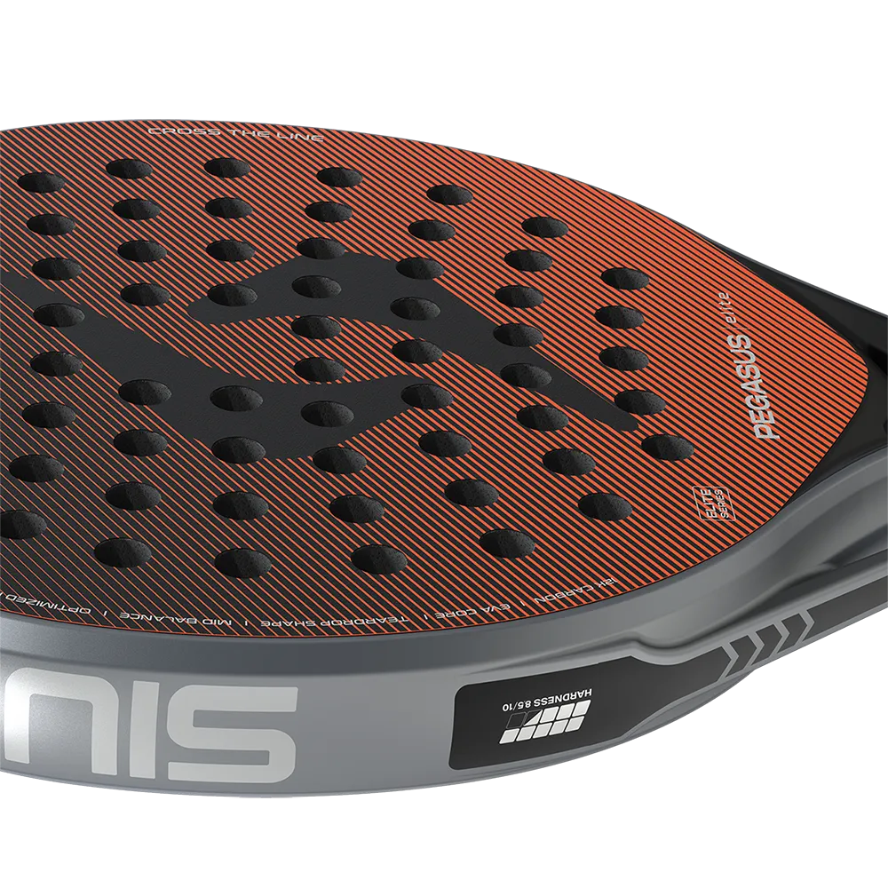 Siux Pegasus Elite 4