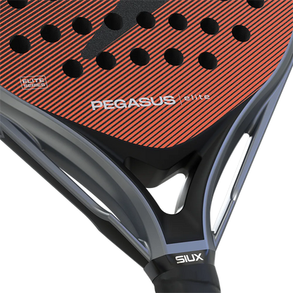 Siux Pegasus Elite 4